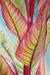 Be leaves believes  40x60